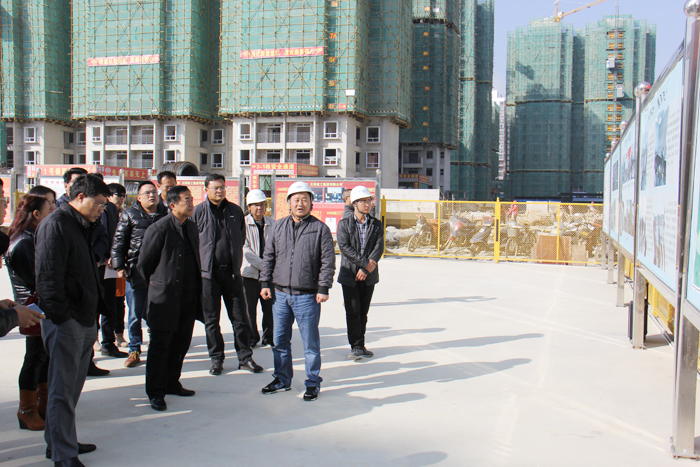 大理市政府考察团到世界杯足球比分预测棚改项目考察