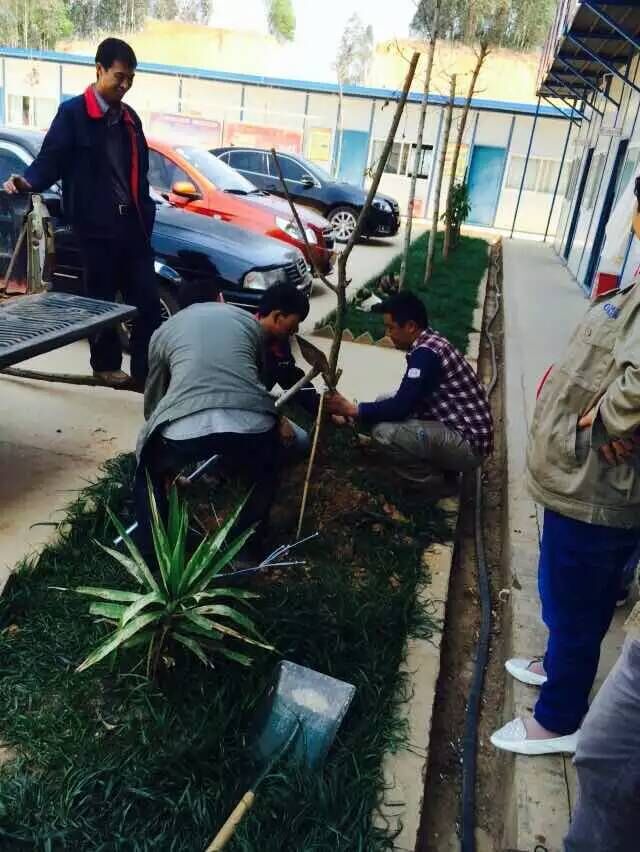 ​基础世界杯官网合作平台东南绕城项目组织植树活动