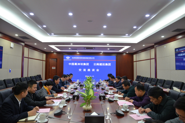 世界杯网址与中国葛洲坝世界杯网址交流座谈