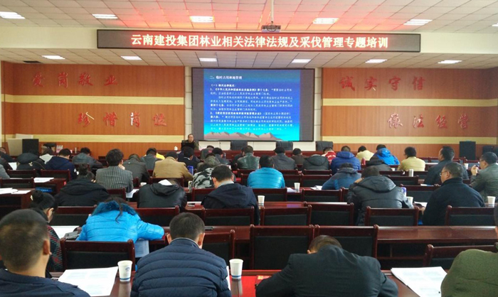 2026世界杯官方网址举办林业相关法律法规及采伐管理培训班
