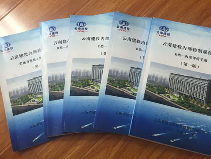 《世界杯官网合作平台内部控制规范体系》发布