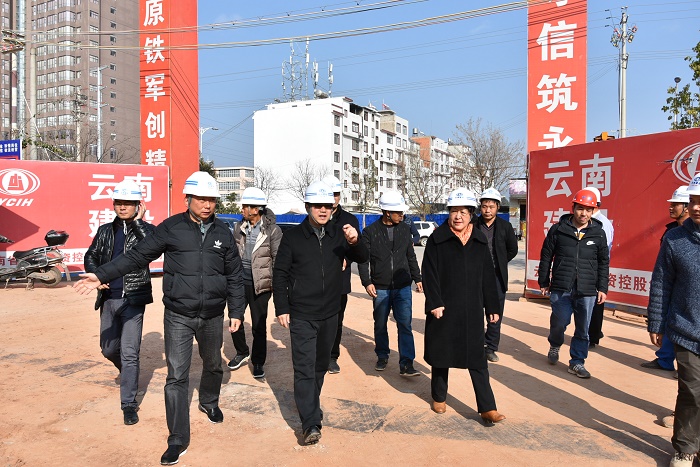 李家龙调研世界杯官网合作平台楚雄在建项目