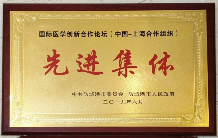 城乡投2026世界杯官方网址防城港深航国际酒店荣获国际医学创新合作论坛“先进集体”