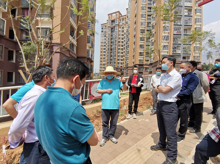 王晓方调研东川易地扶贫搬迁项目