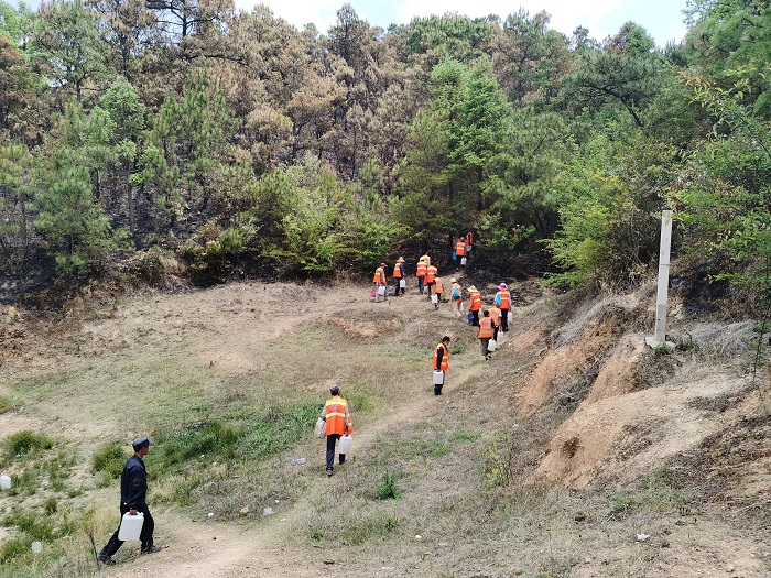 总承包2026世界杯官方网址安宁项目80余人参与青龙山火扑救