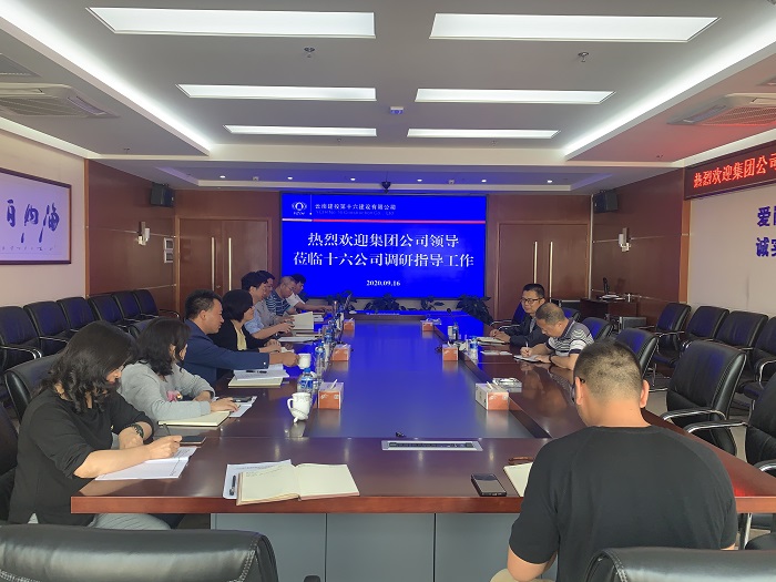 刘勇调研十六公司