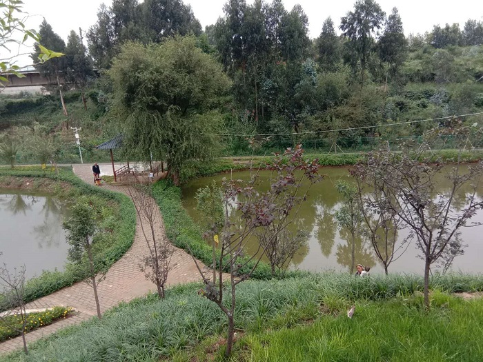机安美加墨世界杯足球比分杨林生活区改造提升职工幸福感