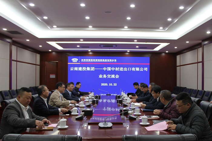 杨国文会见中国中材进出口公司客人