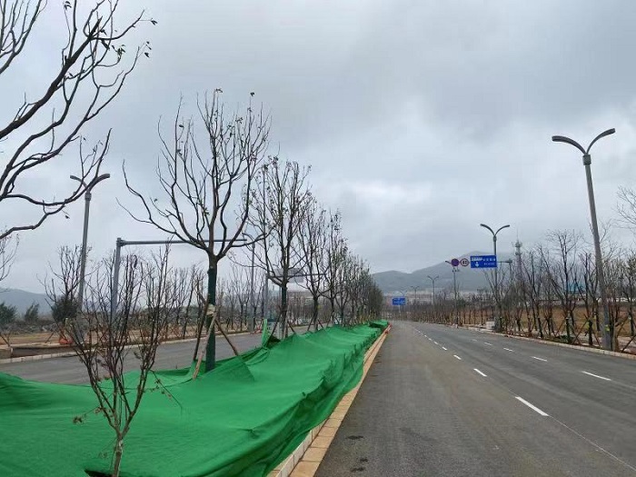 曲靖麒沾马世界杯实时比分龙东路景观照明工程完工