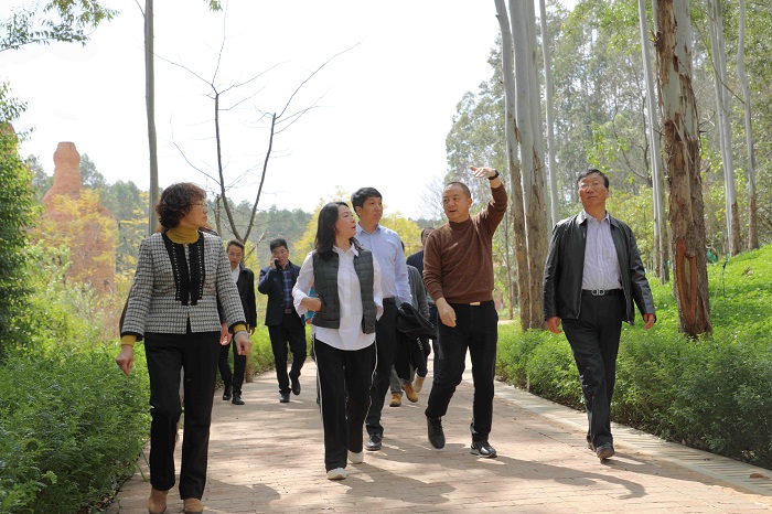 ​省属国有企业专职外部董事调研东风韵特色小镇项目