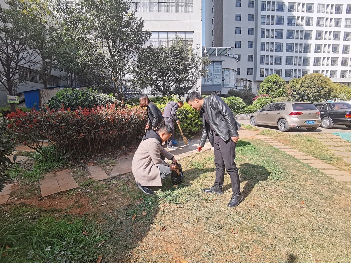 城乡投世界杯足球比分基层团支部开展学雷锋活动