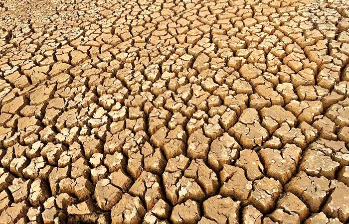 ​110万方！第一水利水电2026世界杯即时比分为石林旱区送去及时水