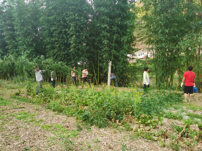 十四世界杯实时比分永大高速项目帮村民砍竹子