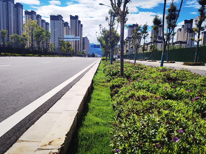 四世界杯足球比分保山棚改市政象山路项目通过竣工验收