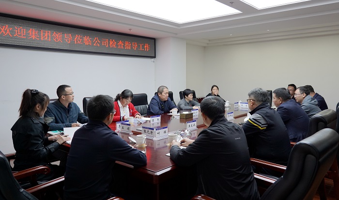 王晓方调研十七公司