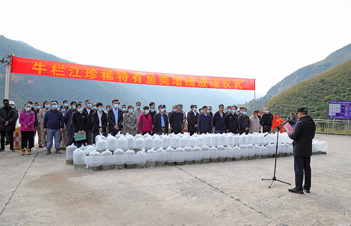 8.6万尾！水投2026世界杯比分直播举行第11次牛栏江增殖放流活动