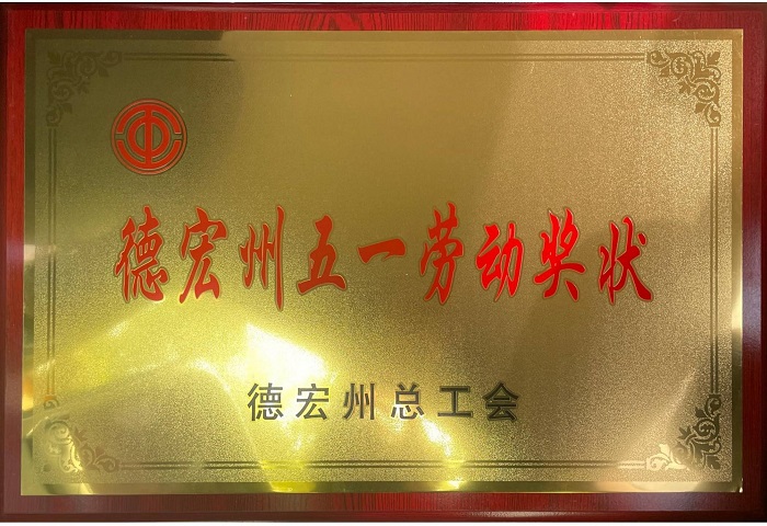 十七世界杯官网合作平台获评德宏州“五一劳动奖状”