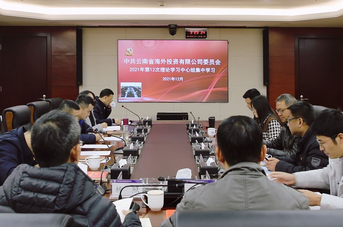 ​杨国文列席旁听海投公司党委理论学习中心组集中学习