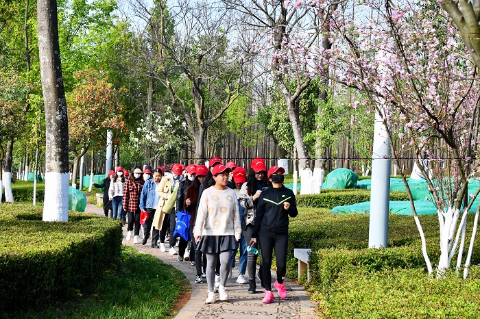 总承包三部多形式庆祝“女神节”