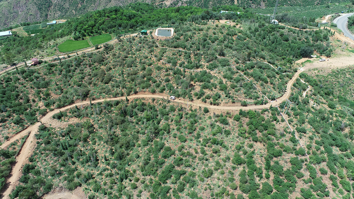 丽江林业生态扶贫项目