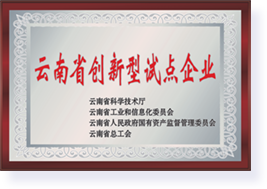 云南省创新型试点企业