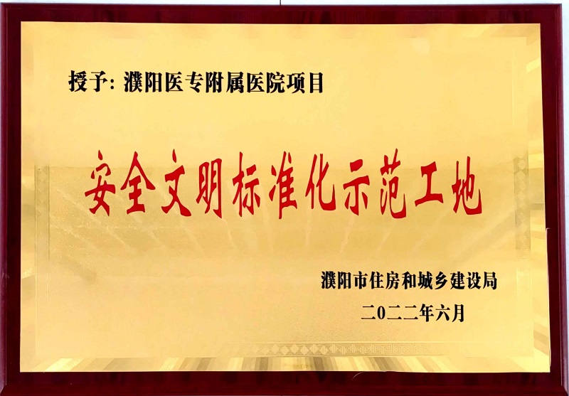 省外事业部河南濮阳医专附属医院项目获濮阳市表彰