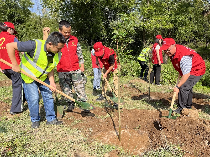 路桥部开展“我为洱海源头保护栽棵树”活动