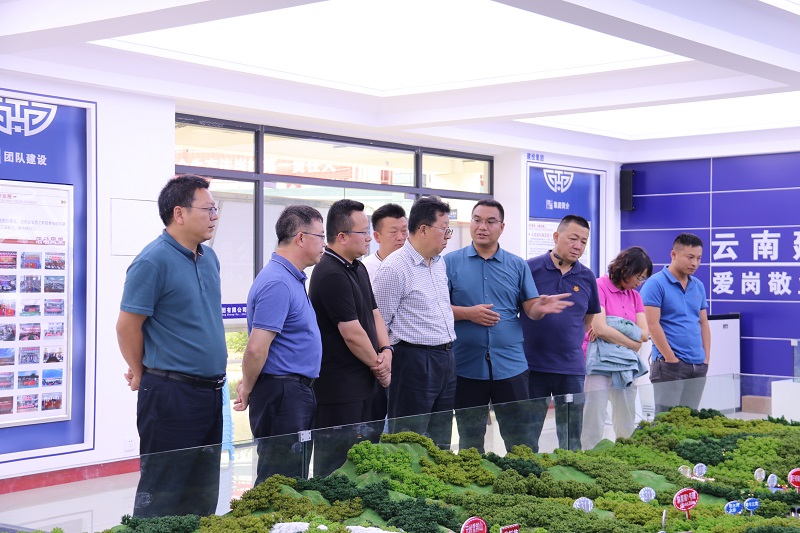 世界杯足球平台专职外部董事调研大理片区高速公路项目建设情况