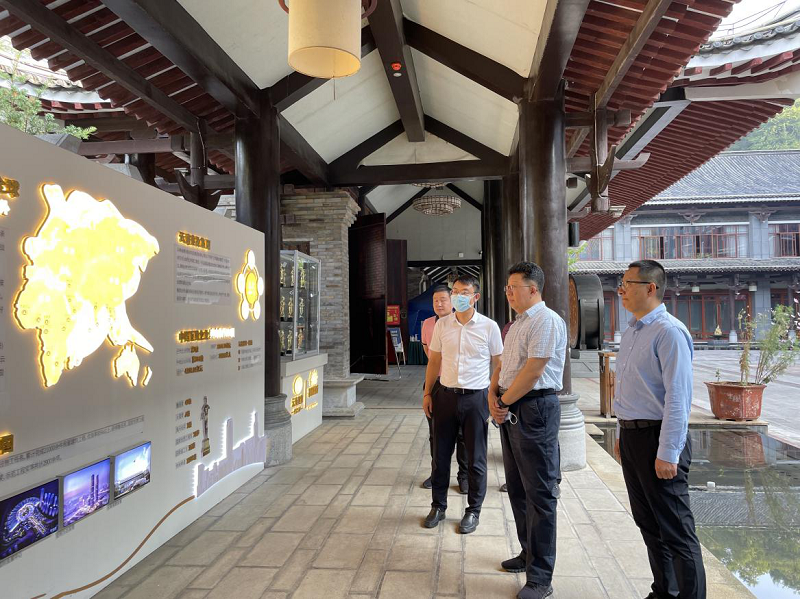 世界杯比分网专职外部董事寸延峰调研大方项目