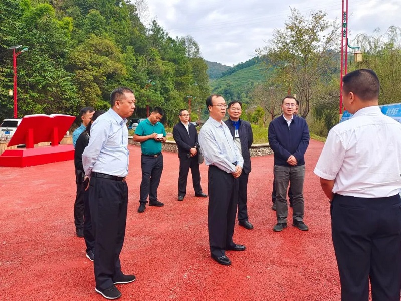 保山市领导调研世界杯足球平台水利项目和迁注单位