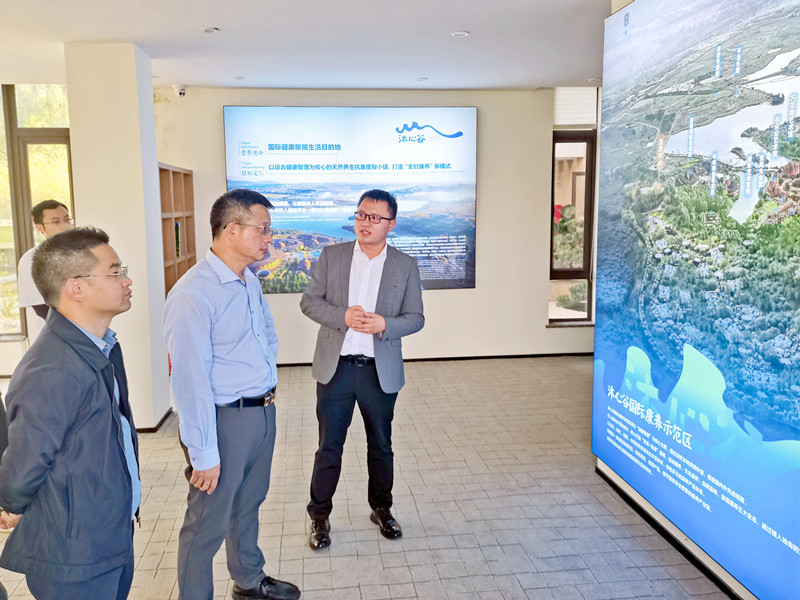 省发改委督导组到东风韵开展特色小镇专项督导