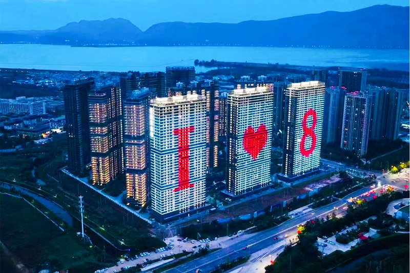 总承包世界杯官网合作平台会展8号地块项目通过住建部科技示范工程验收