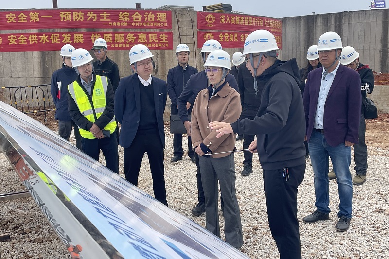 红河州委常委、蒙自市委书记李梅调研蒙自市农村供水保障三年专项行动项目