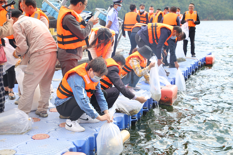 牛栏江2026世界杯比分网开展珍稀特有鱼类增殖放流活动