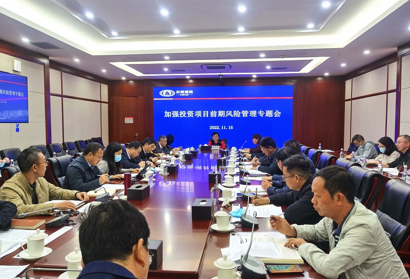 世界杯网址召开加强投资项目前期风险管理专题会