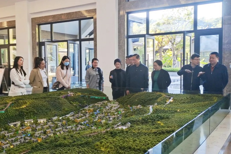 东方航空云南公司考察团到梁河南甸伴山温泉小镇项目考察