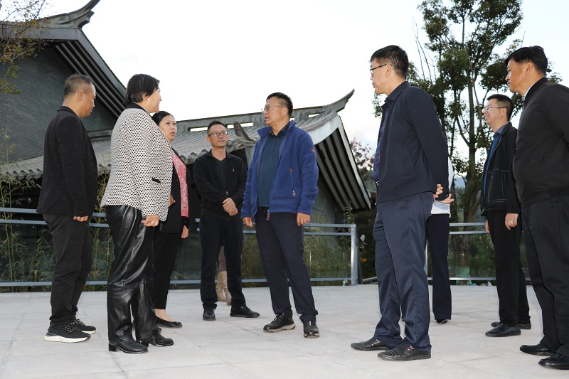 省科协党组书记、常务副主席赵刚调研梁河南甸伴山温泉小镇