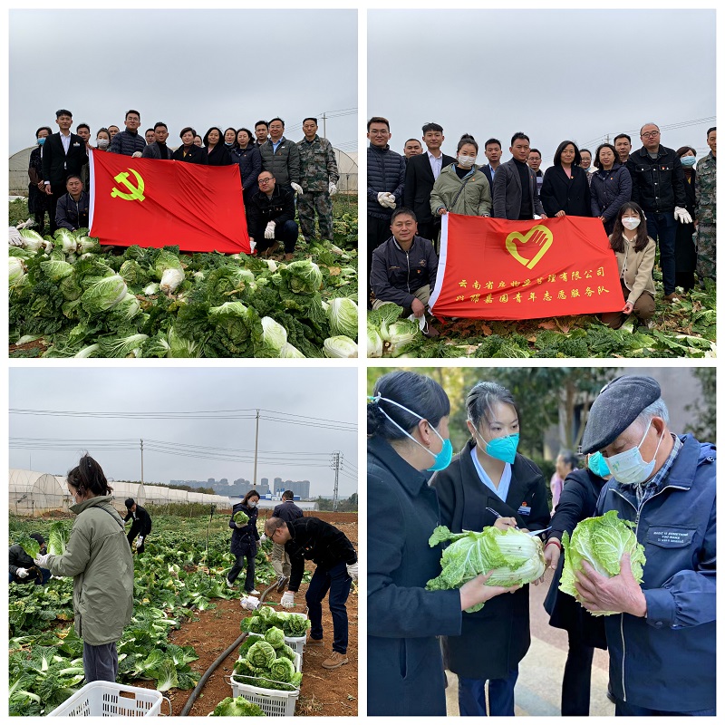 省房物业党支部为兴锦嘉园小区业主“蔬”送温暖