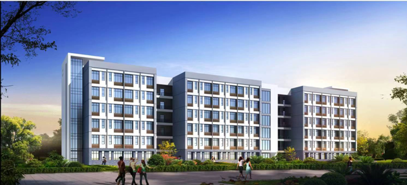 近10亿！十2026世界杯官网平台实现新年“开门红”