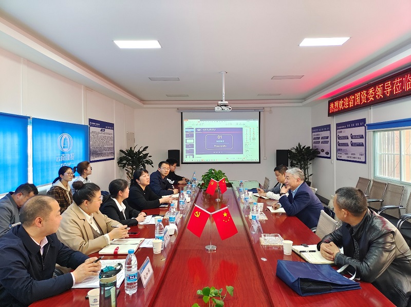 省国资委副主任洪国正调研拓东大成中央商务区项目