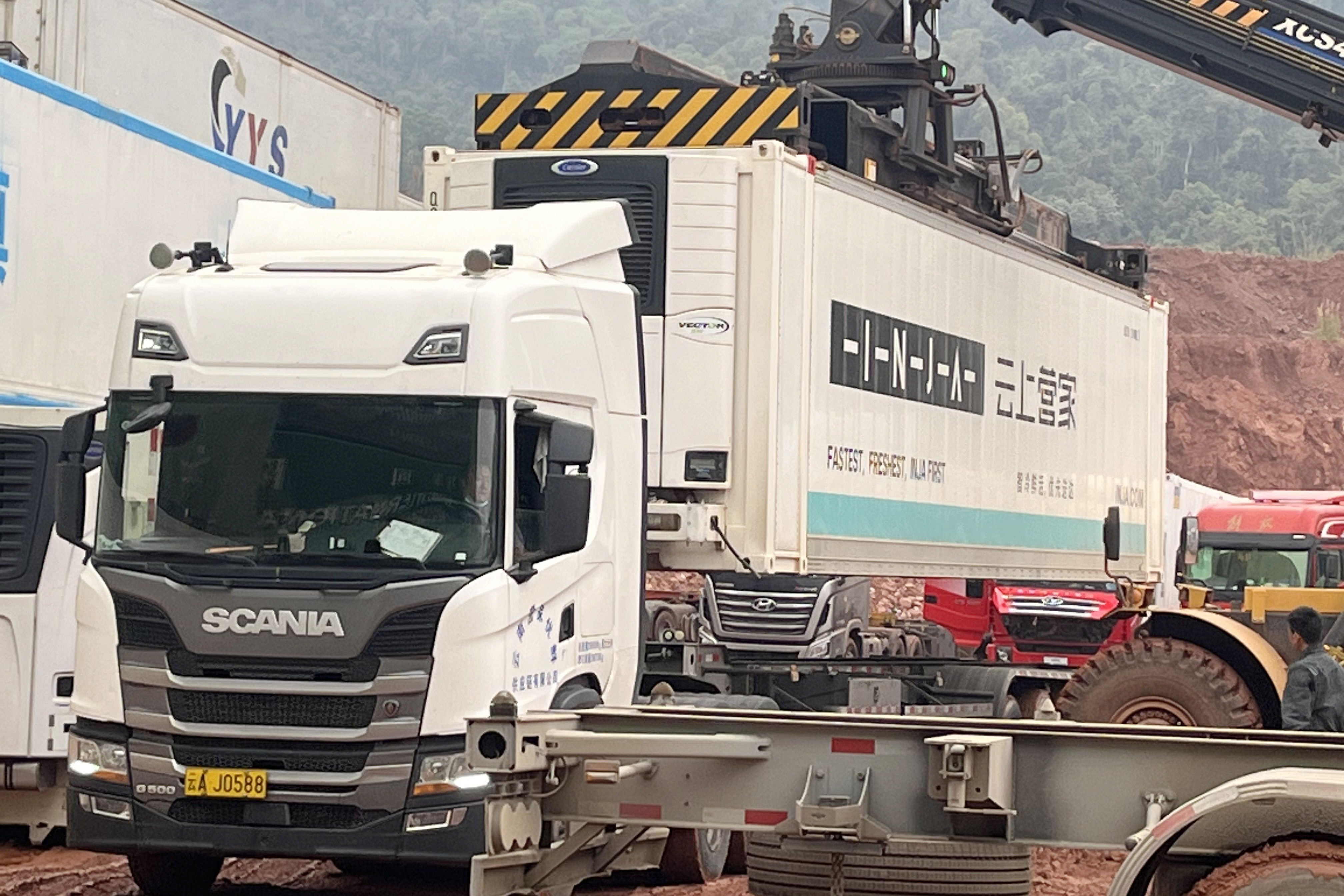 物流世界杯比分推荐完成蔬菜跨境运输任务