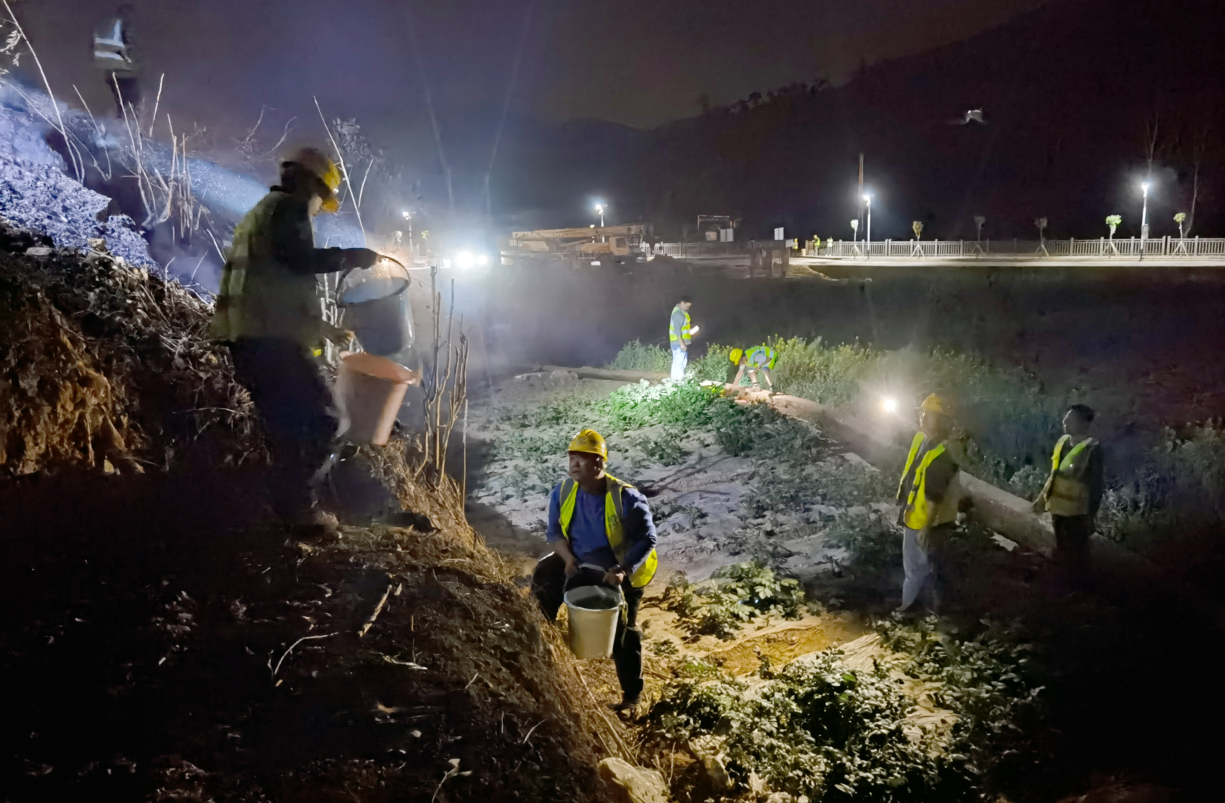 七世界杯比分推荐澄华十二分部众志成城灭山火