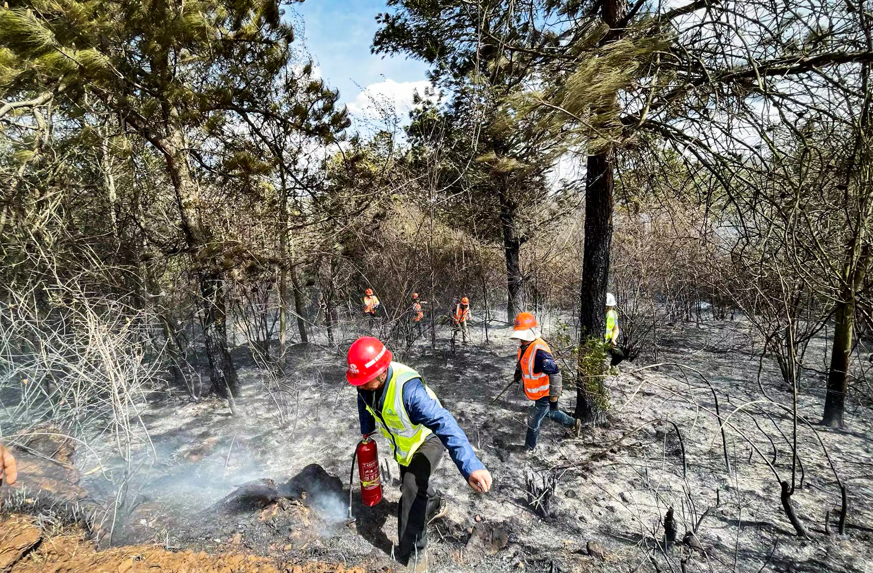 六世界杯比分推荐宣富高速土建四分部项目部紧急驰援扑灭山火