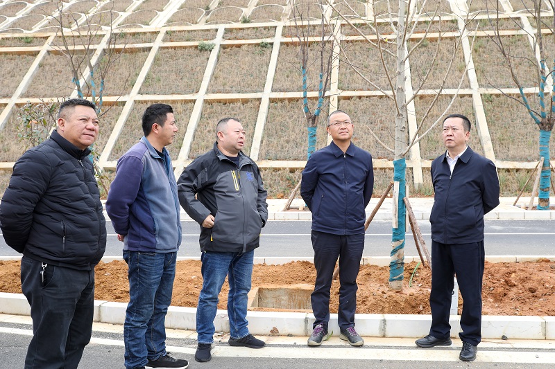 杨国文调研鲁甸县环城路项目