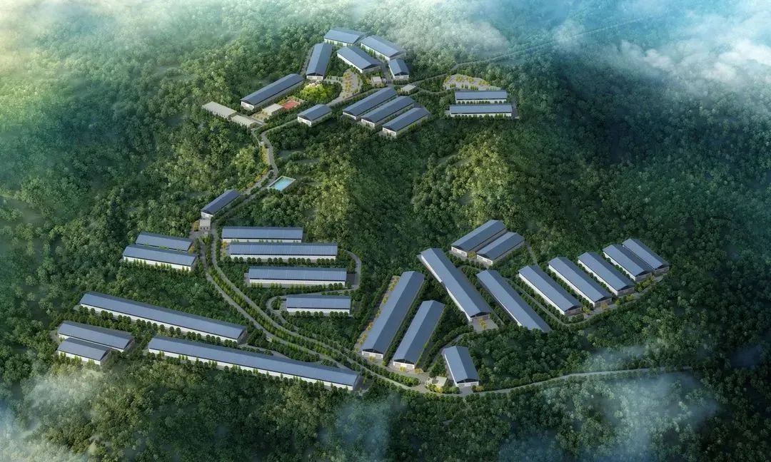 累计中标24.68亿元！十世界杯足球网一季度实现经营“开门红”