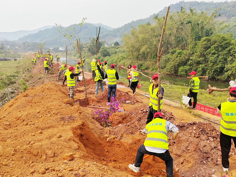 第二水利水电美加墨世界杯足球比分联合江城县水务局开展“绿美河湖”植树活动