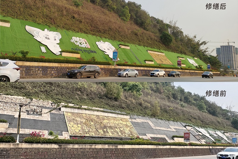 72小时！十四冶完成勐海县4800平方米绿化修复工作