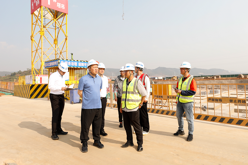 大兴调查研究丨陈祖军调研国际供应链示范中心项目