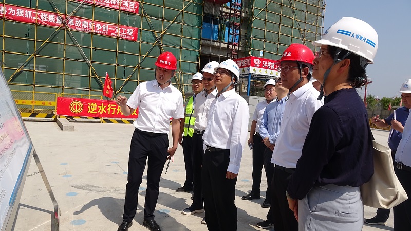 楚雄州委副书记、州长张文旺到楚雄新航鸿雅项目调研