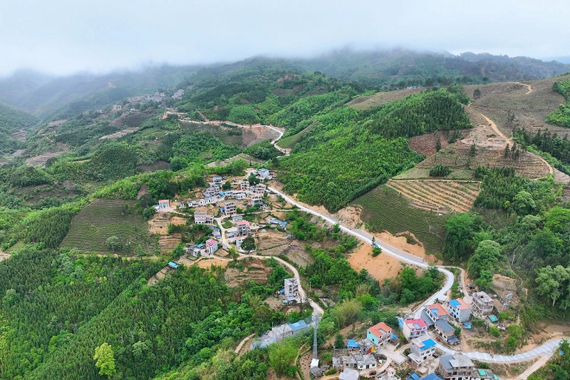 世界杯网址二十大 建功新时代丨广南农村公路项目：家长里短幸福路 美丽乡村新画卷 